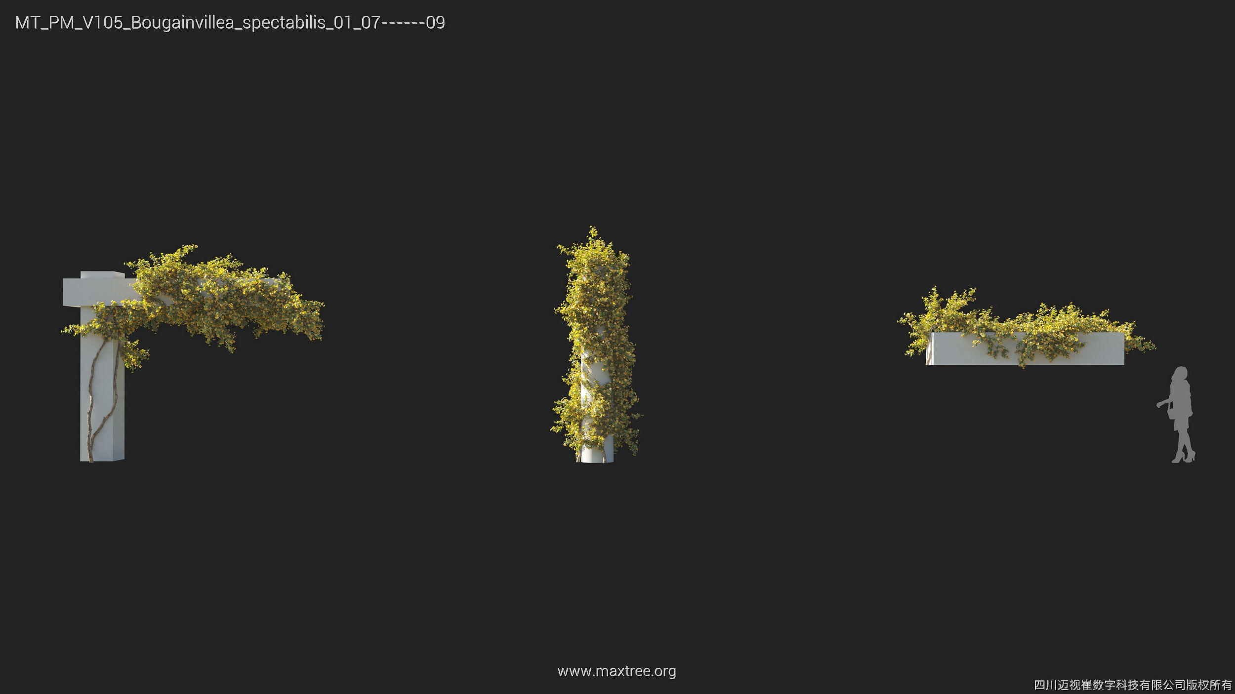 Maxtree Plant Models Vol 105 - Mesh 3D model_9