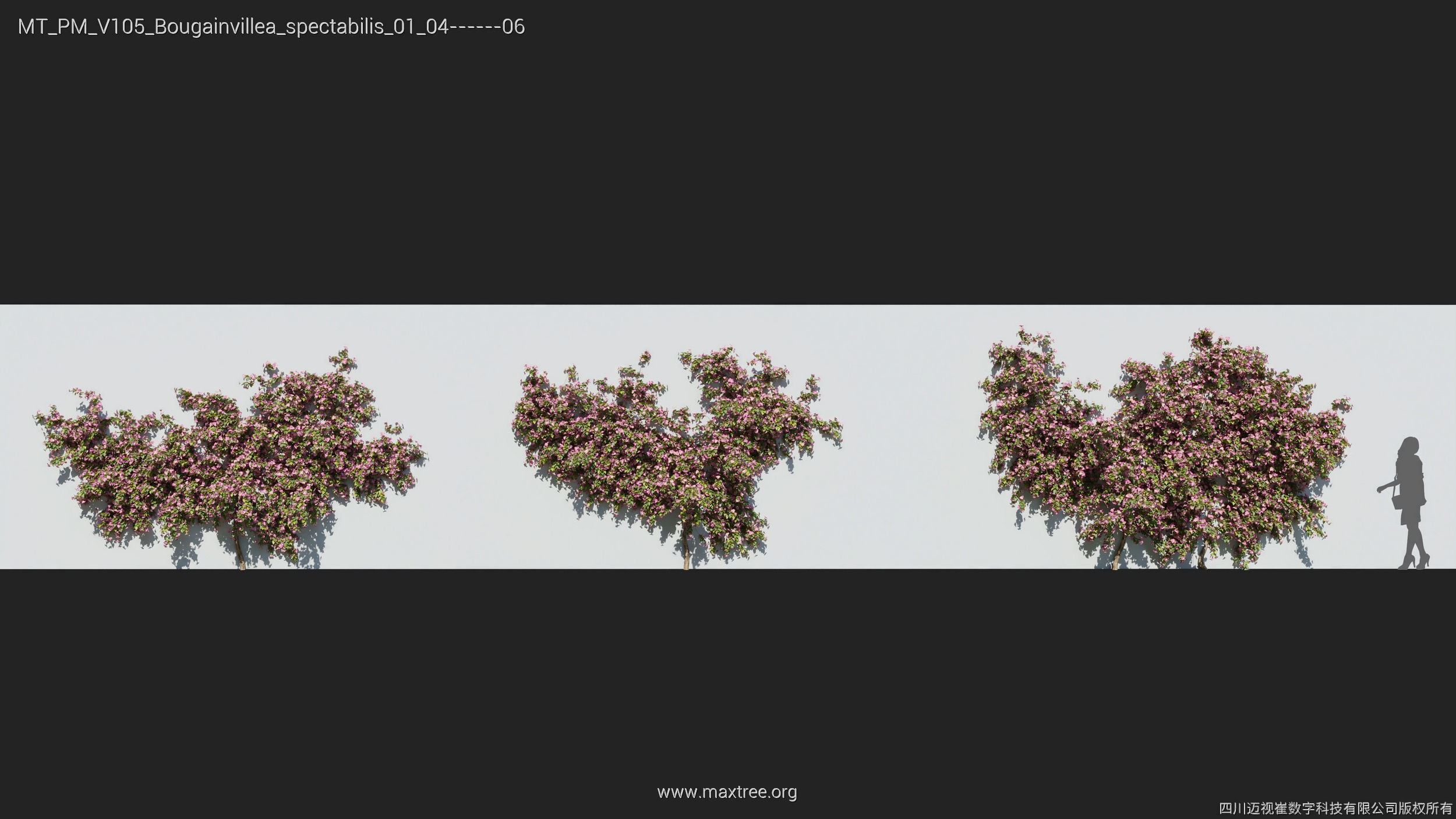 Maxtree Plant Models Vol 105 - Mesh 3D model_8