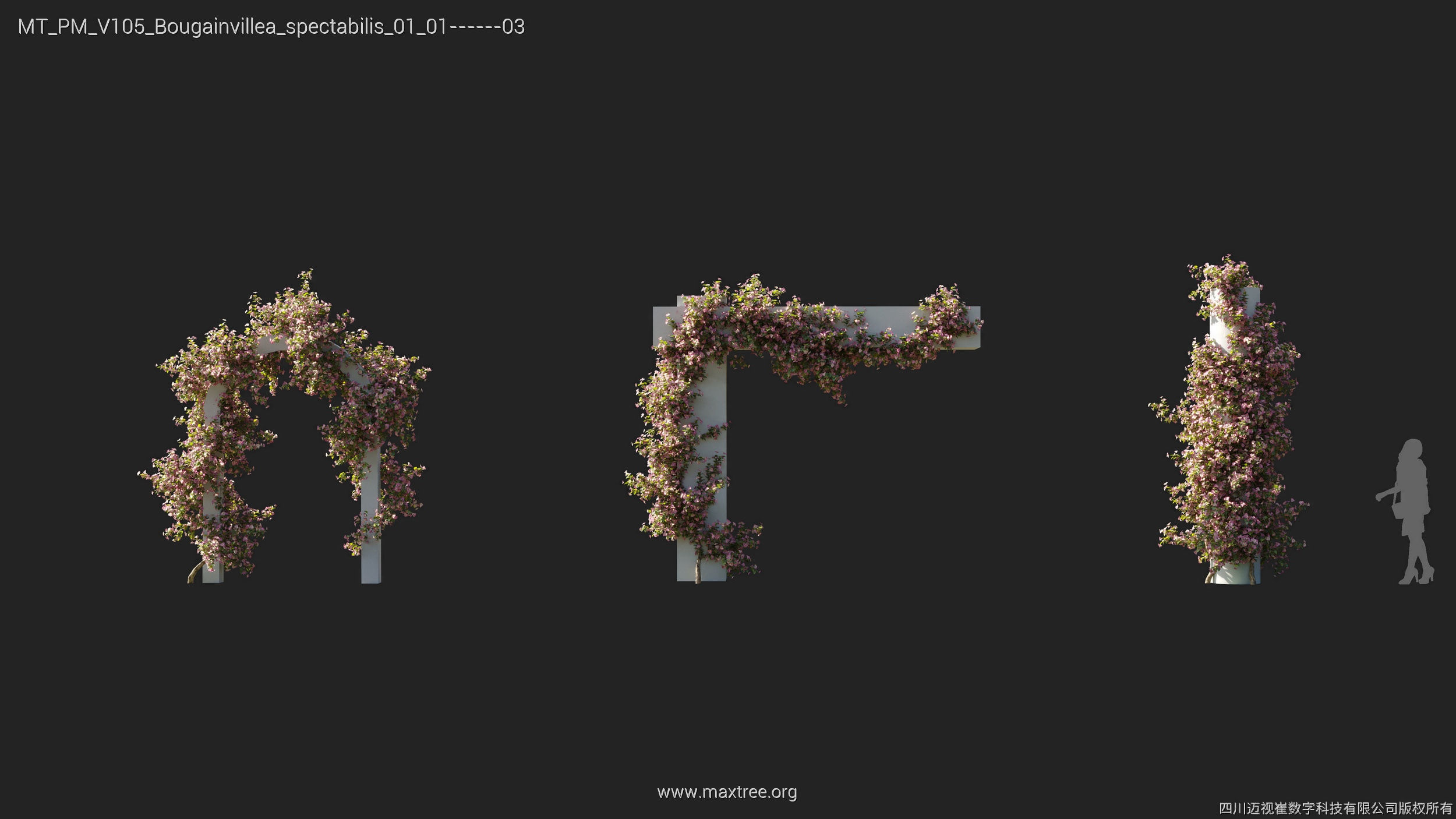 Maxtree Plant Models Vol 105 - Mesh 3D model_7