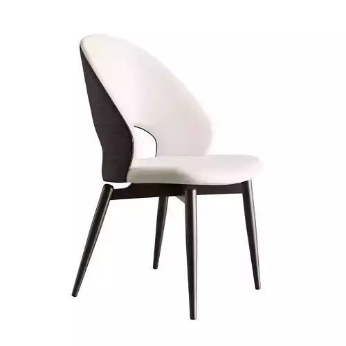 Chair Dining Chair  ID340