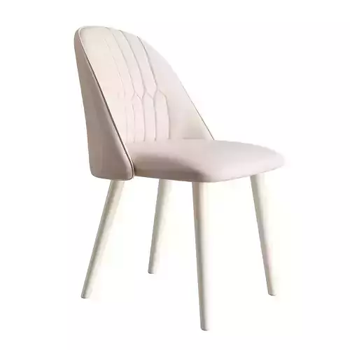 Chair Dining Chair  ID342