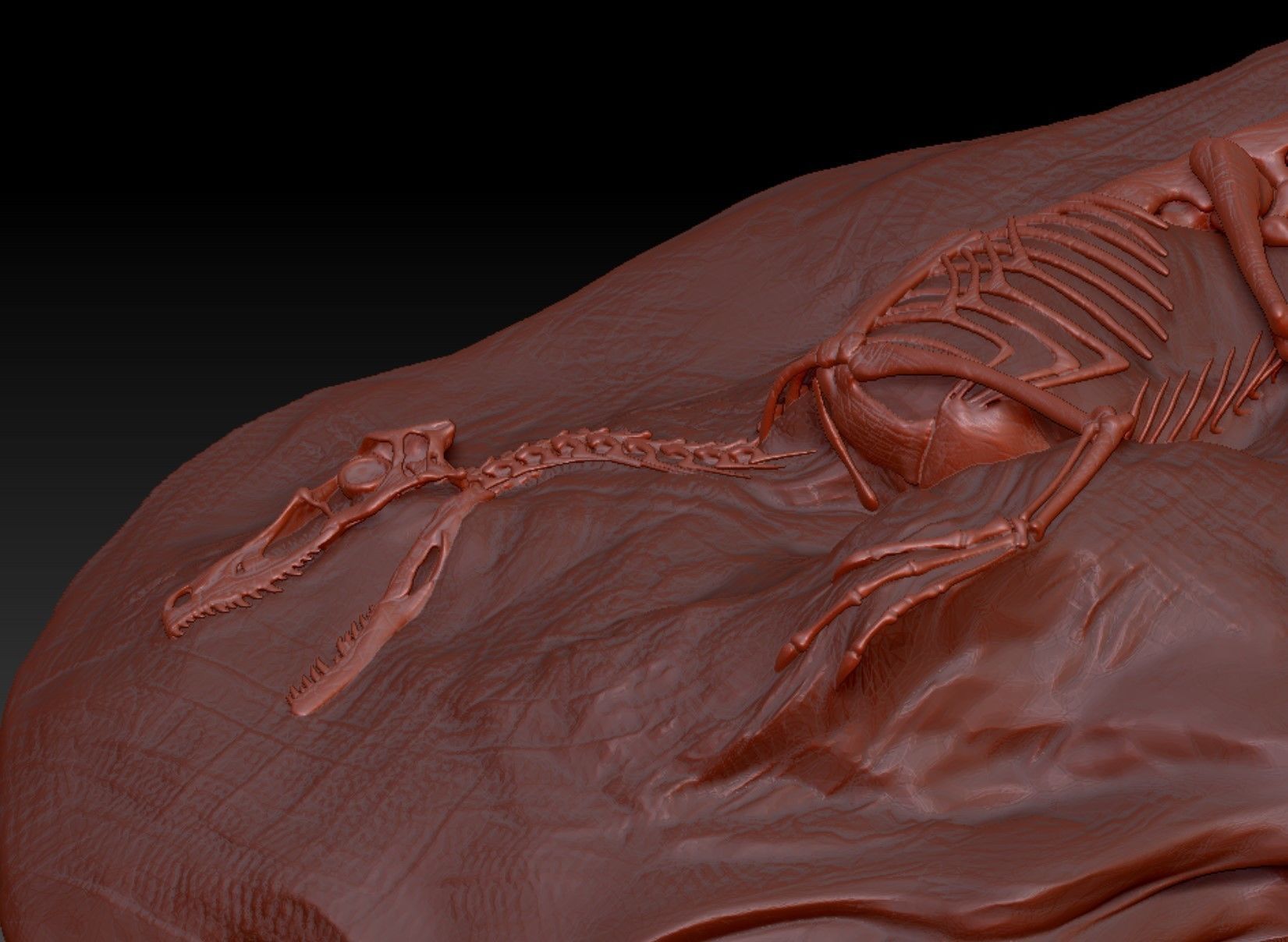 Velociraptor Fossil Rock - 3D Skeleton of Raptor Dinosaur 3D print model_5