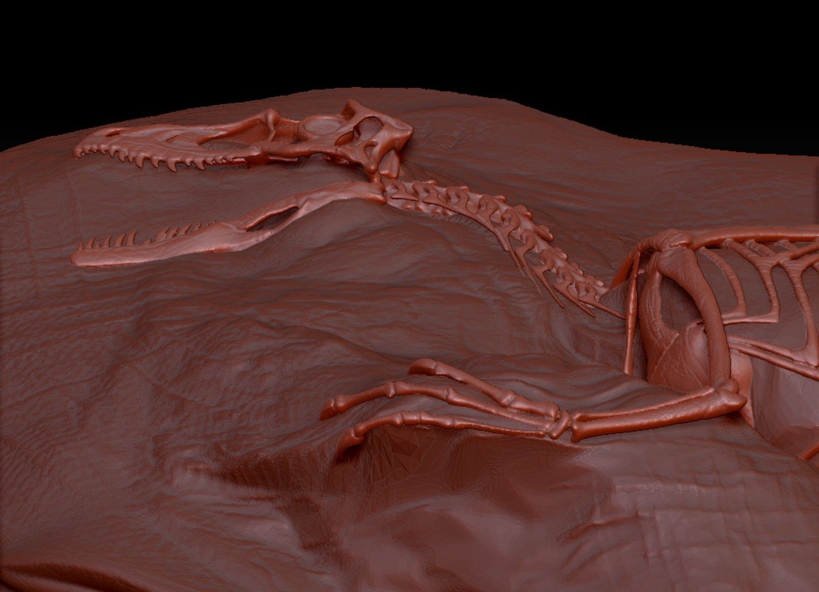 Velociraptor Fossil Rock - 3D Skeleton of Raptor Dinosaur 3D print model_3