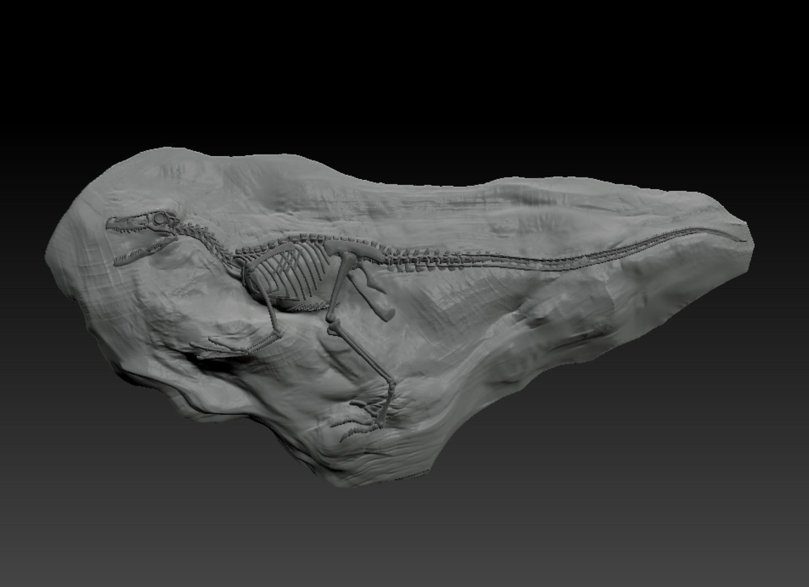 Velociraptor Fossil Rock - 3D Skeleton of Raptor Dinosaur 3D print model_1