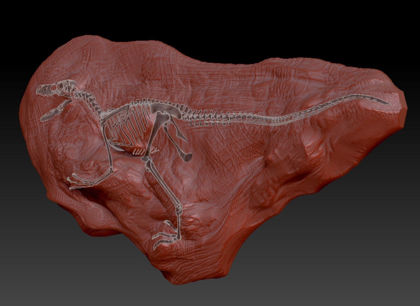 Velociraptor Fossil Rock - 3D Skeleton of Raptor Dinosaur 3D print model_2