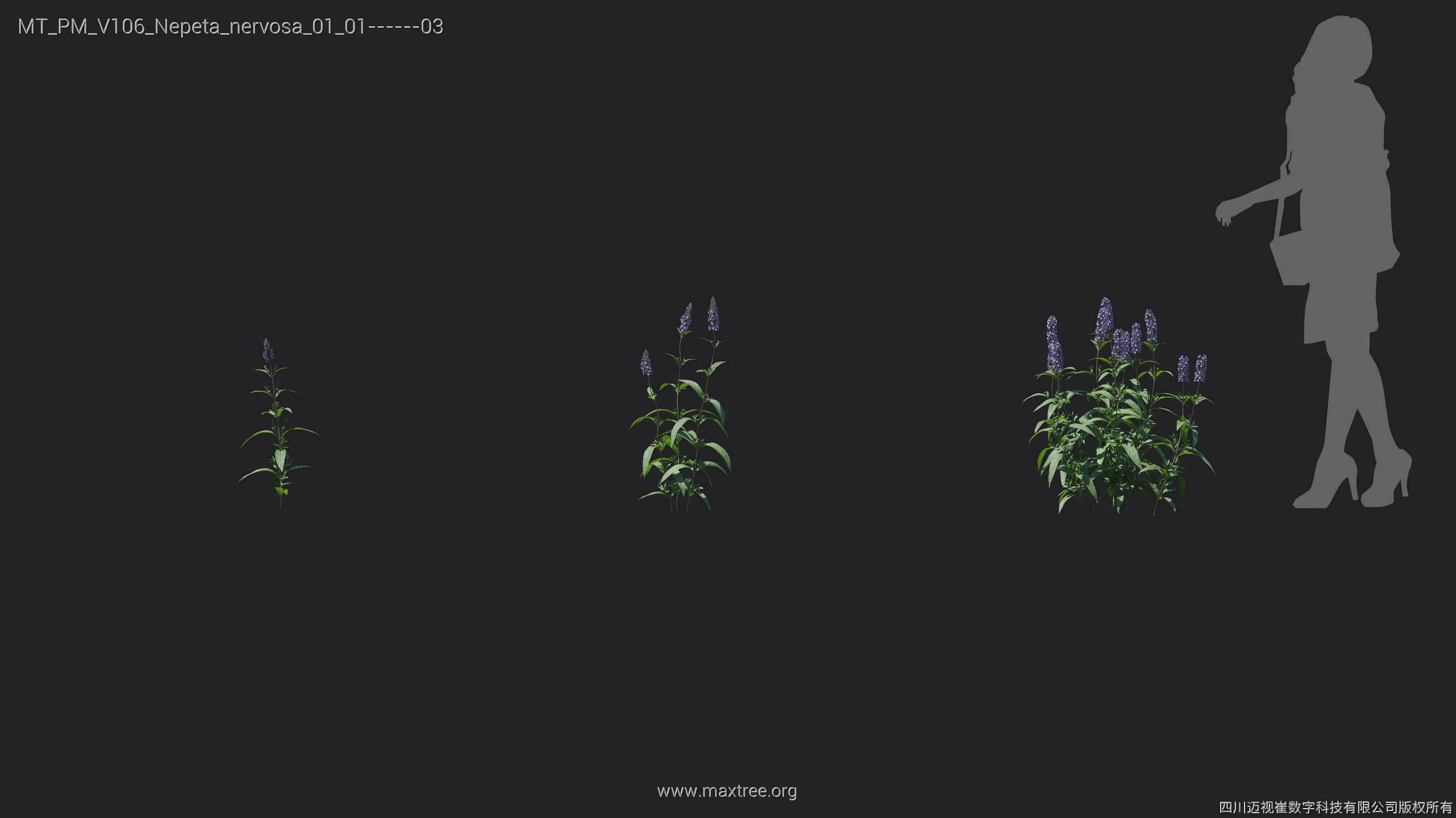 Maxtree Plant Models Vol 106 - Mesh 3D model_21