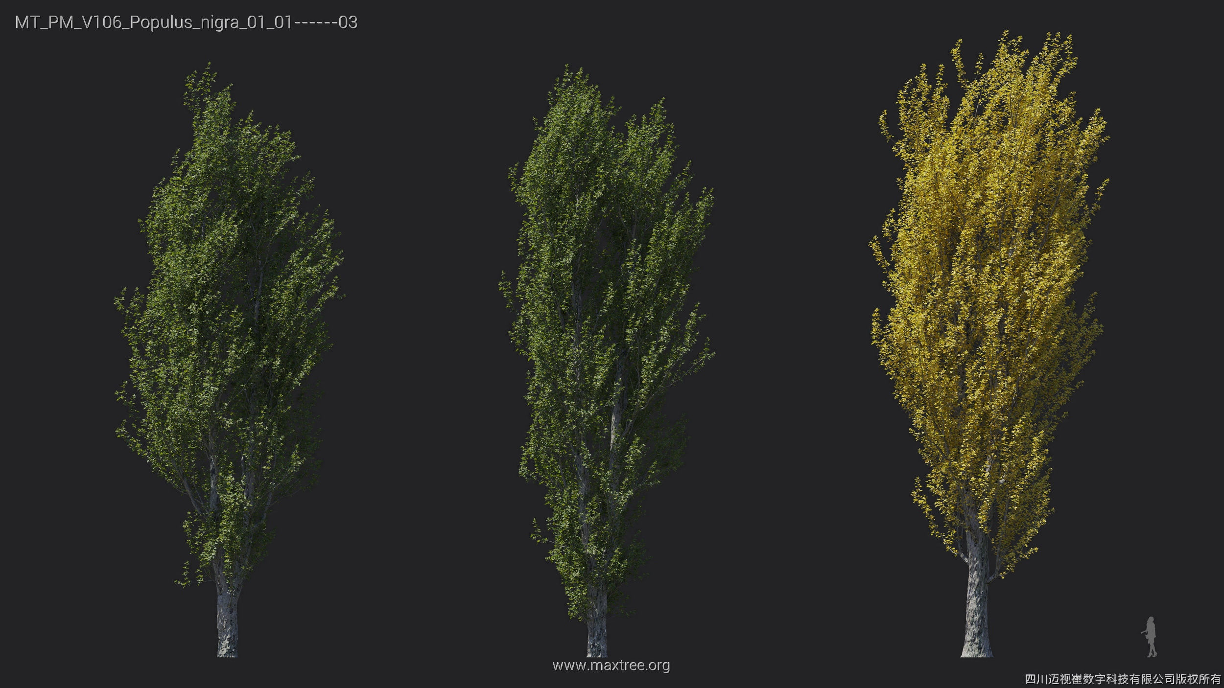 Maxtree Plant Models Vol 106 - Mesh 3D model_25