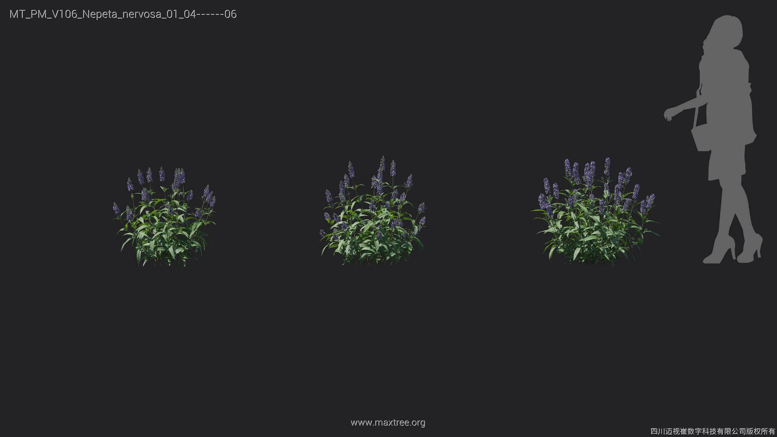 Maxtree Plant Models Vol 106 - Mesh 3D model_22