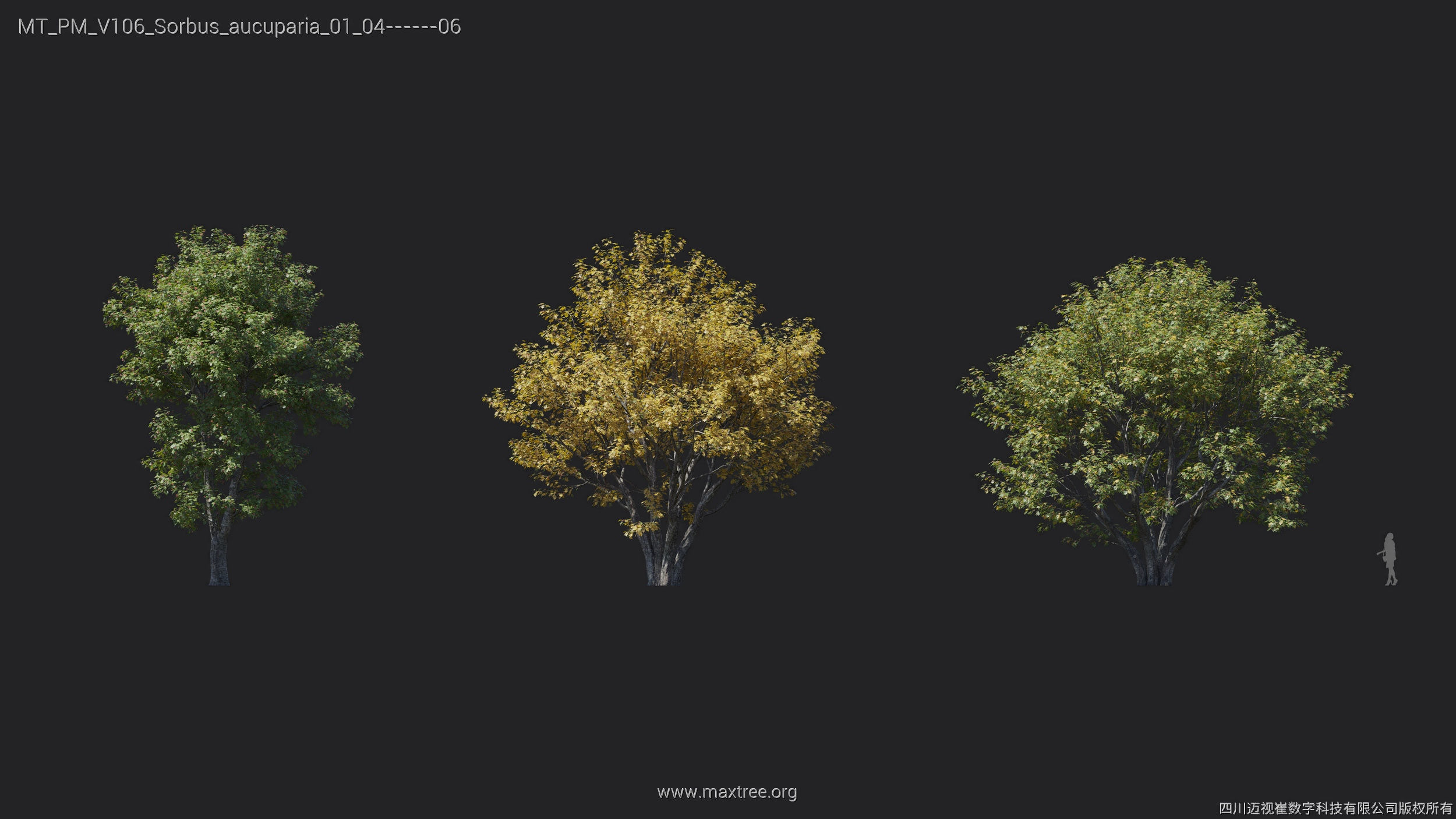 Maxtree Plant Models Vol 106 - Mesh 3D model_30