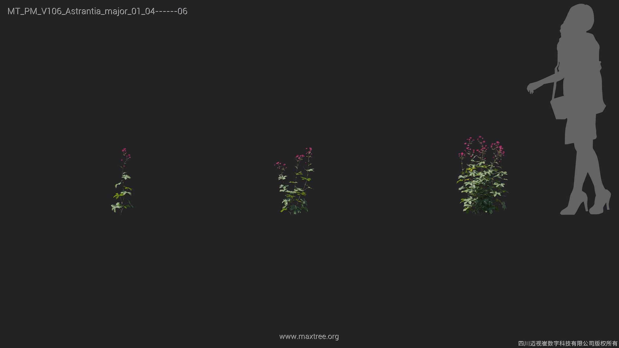 Maxtree Plant Models Vol 106 - Mesh 3D model_8