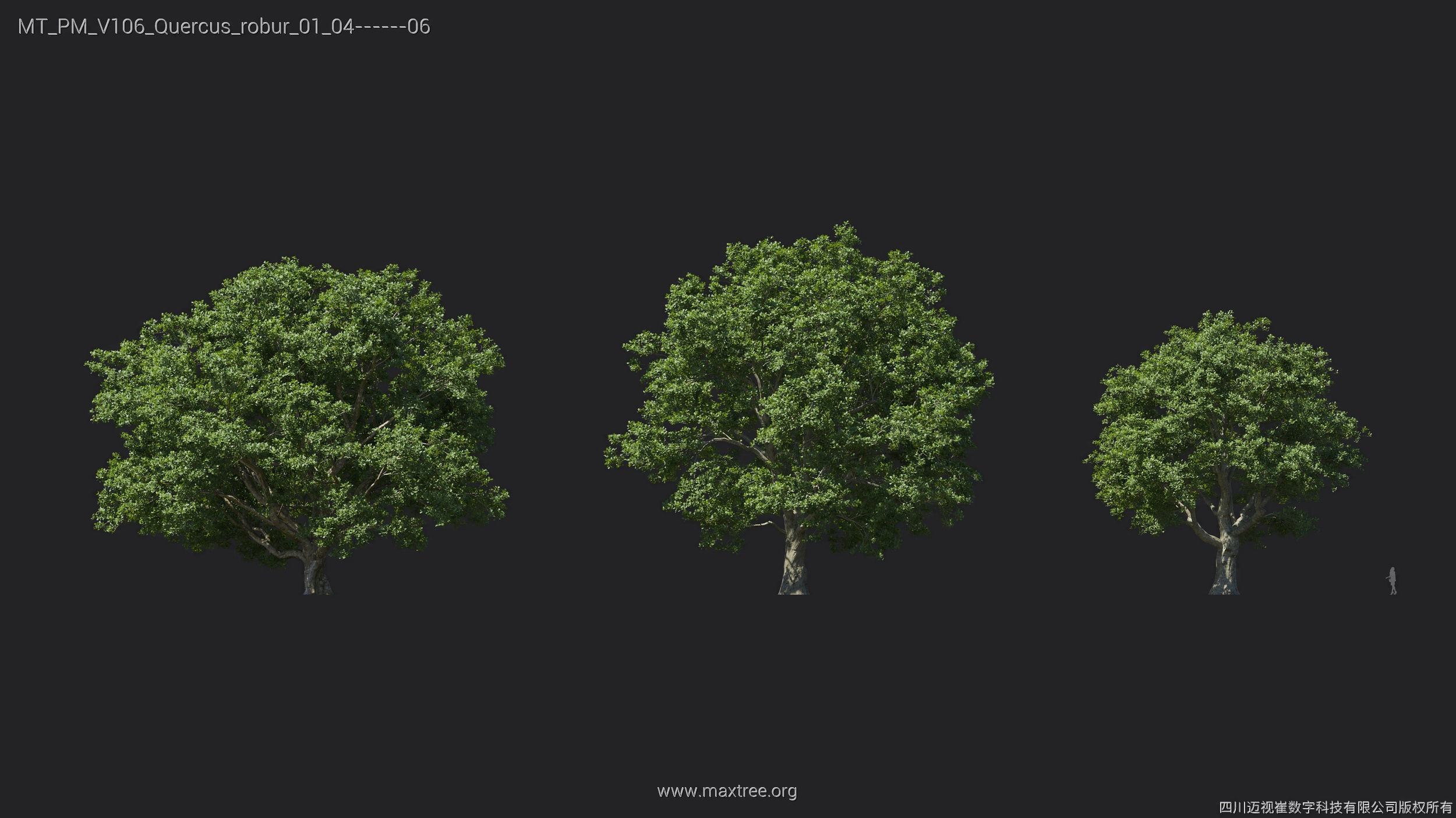 Maxtree Plant Models Vol 106 - Mesh 3D model_28