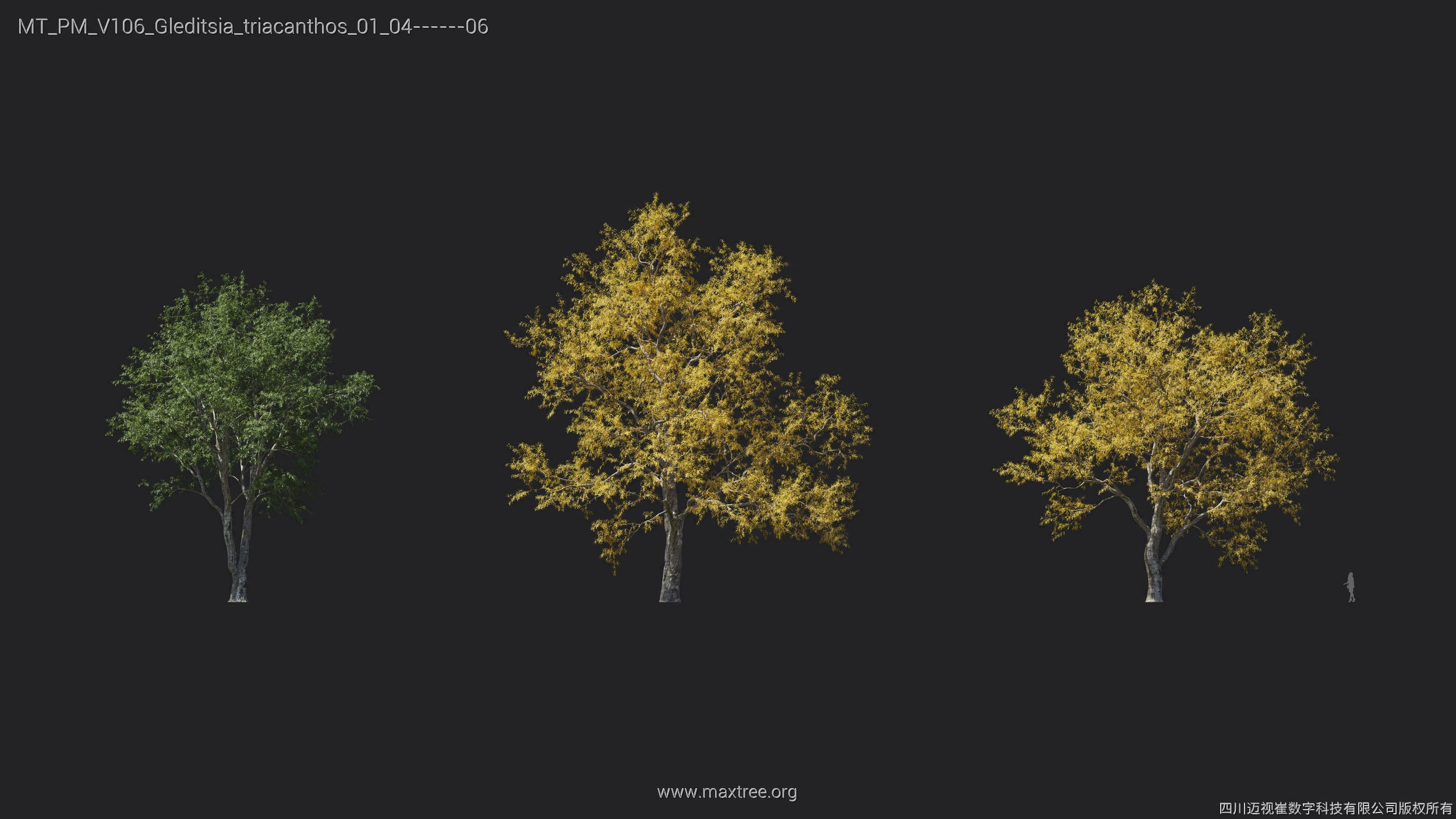 Maxtree Plant Models Vol 106 - Mesh 3D model_18