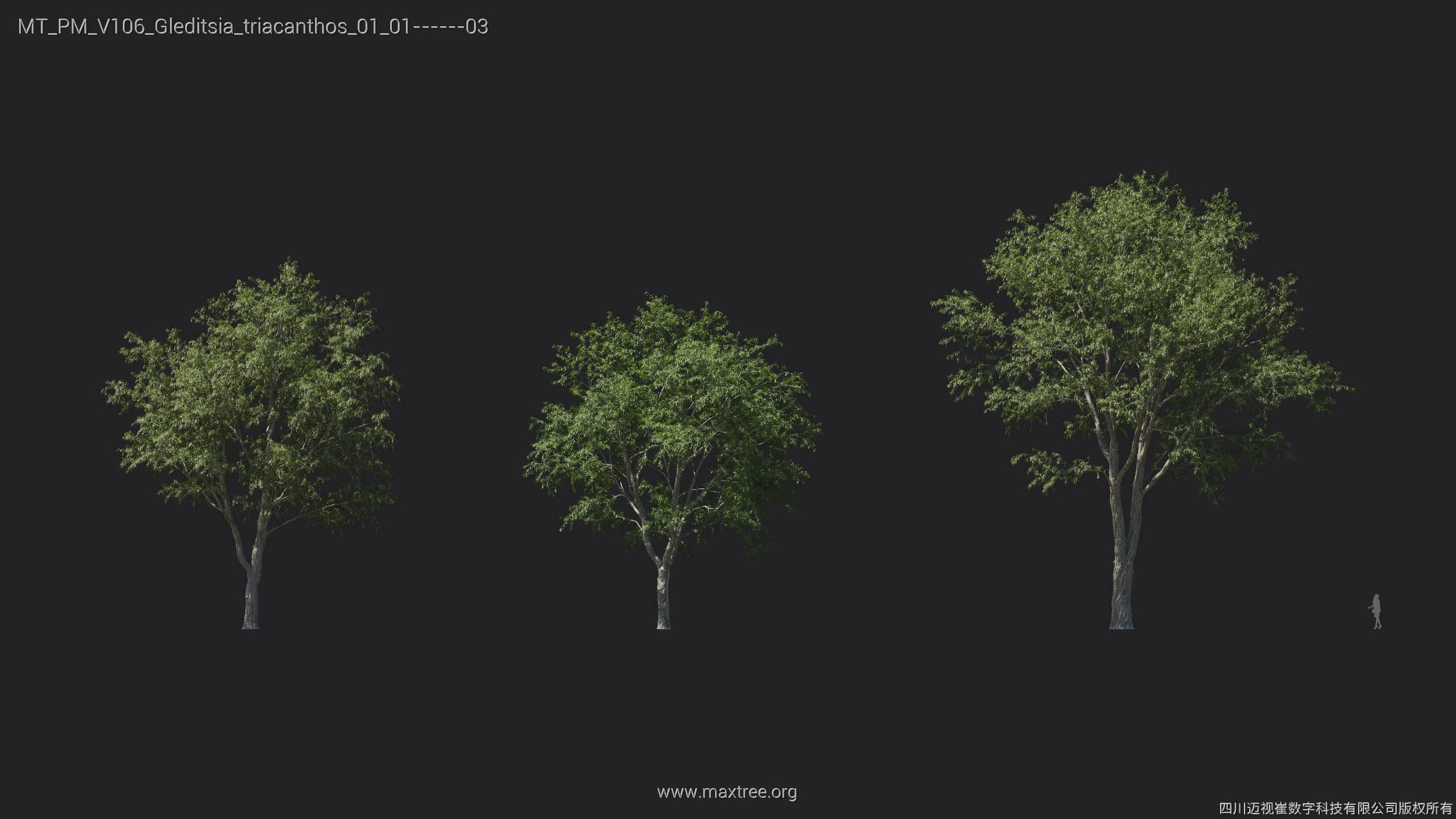 Maxtree Plant Models Vol 106 - Mesh 3D model_17