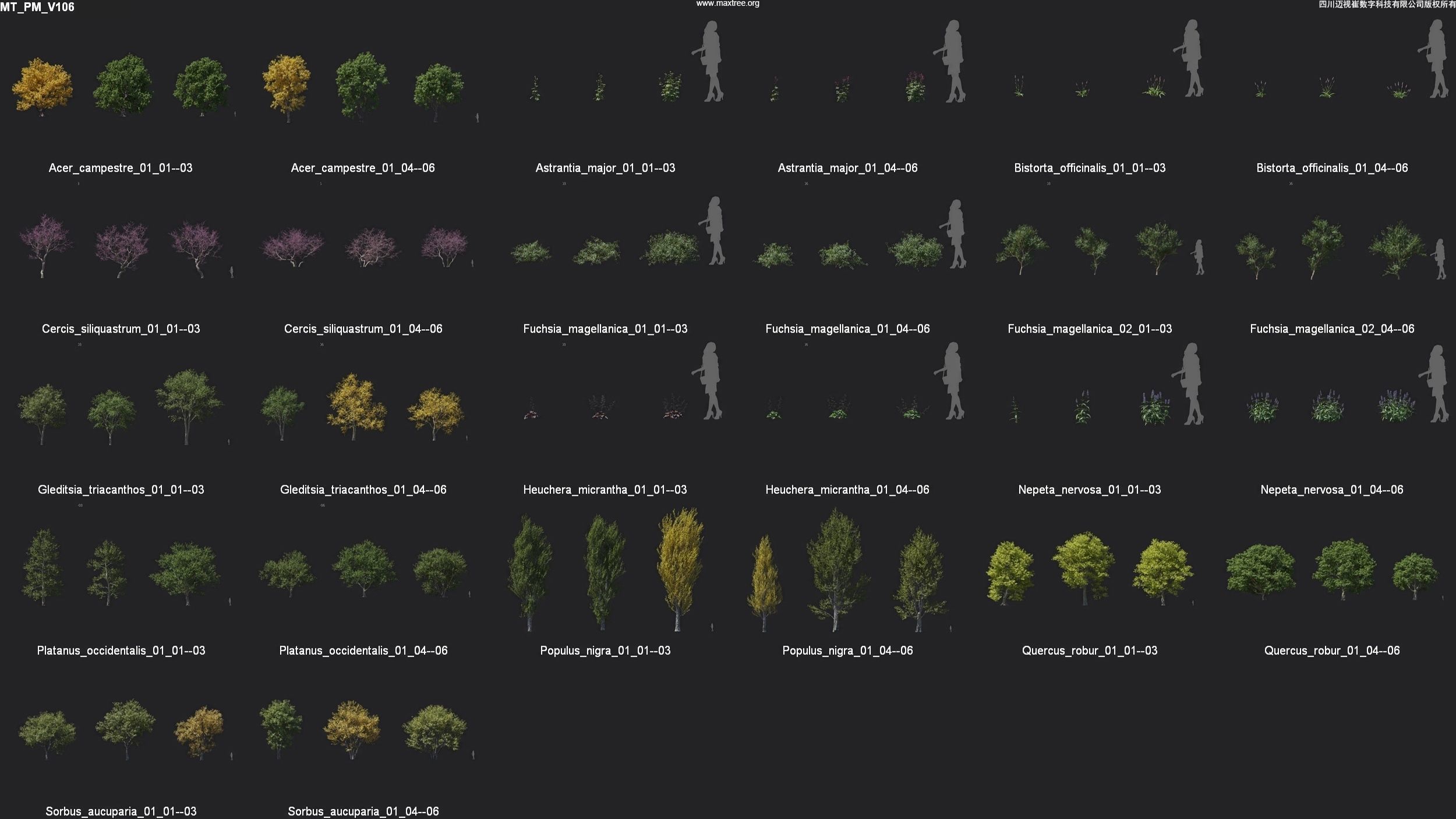 Maxtree Plant Models Vol 106 - Mesh 3D model_4