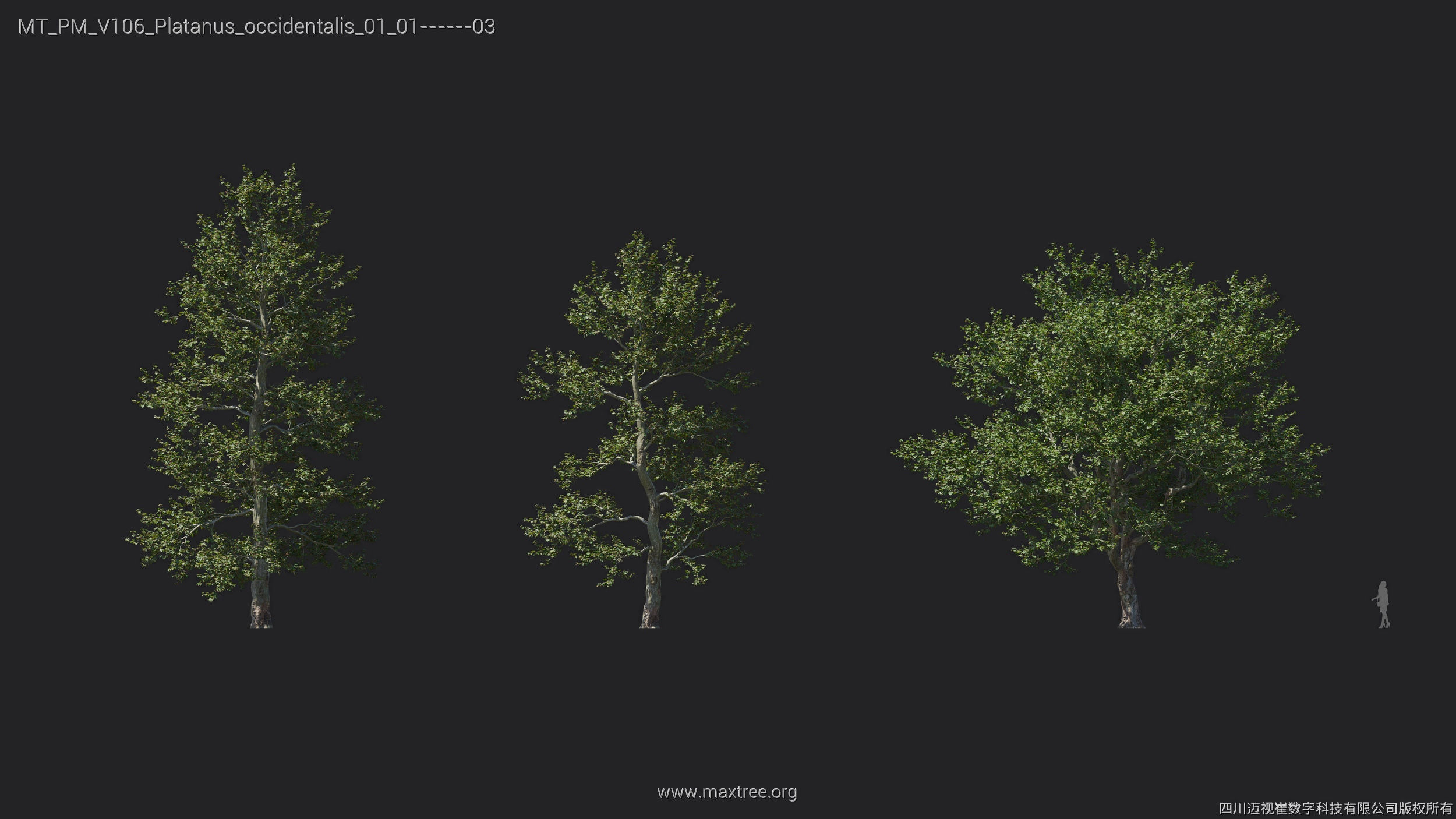 Maxtree Plant Models Vol 106 - Mesh 3D model_23