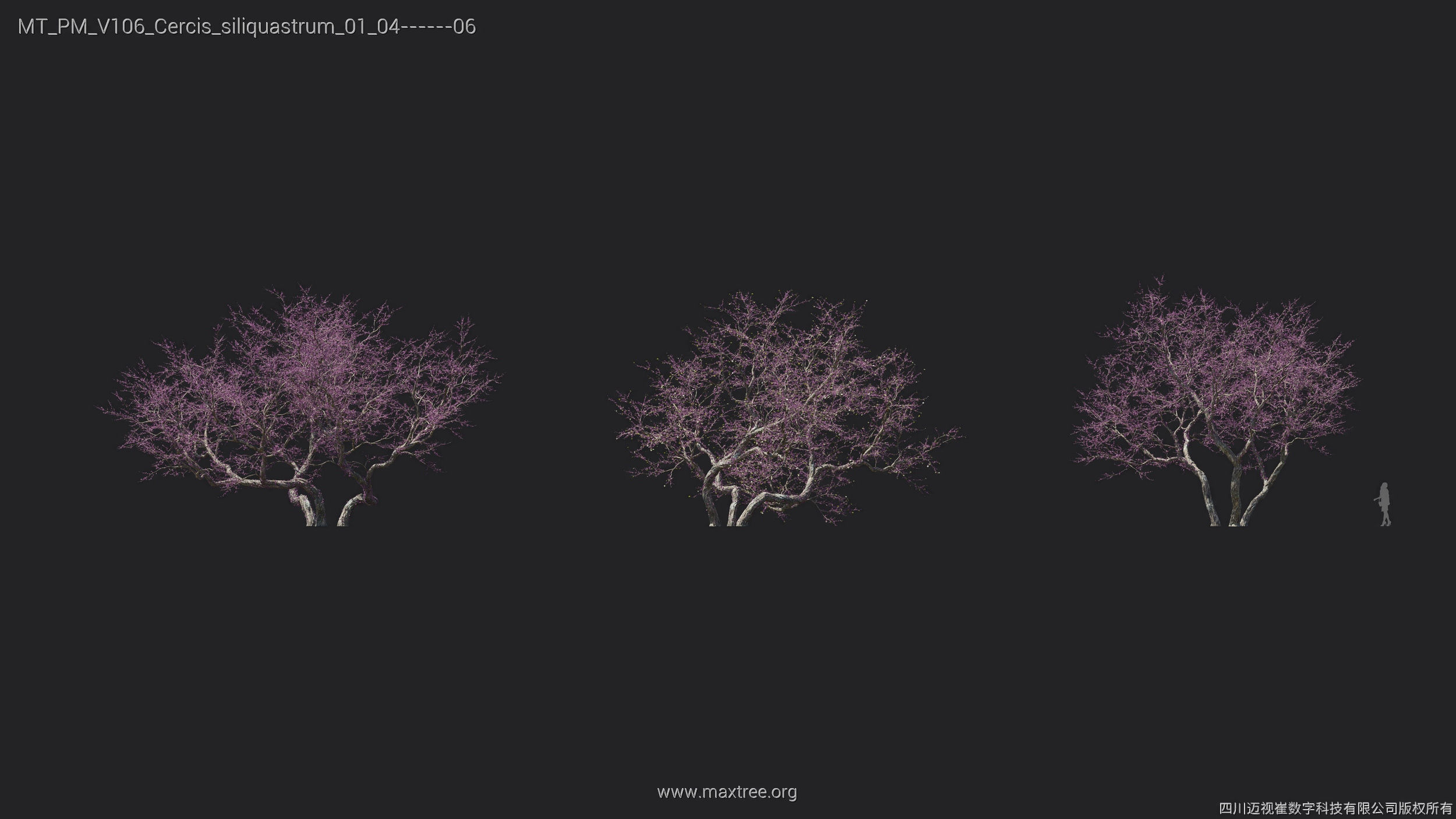 Maxtree Plant Models Vol 106 - Mesh 3D model_12