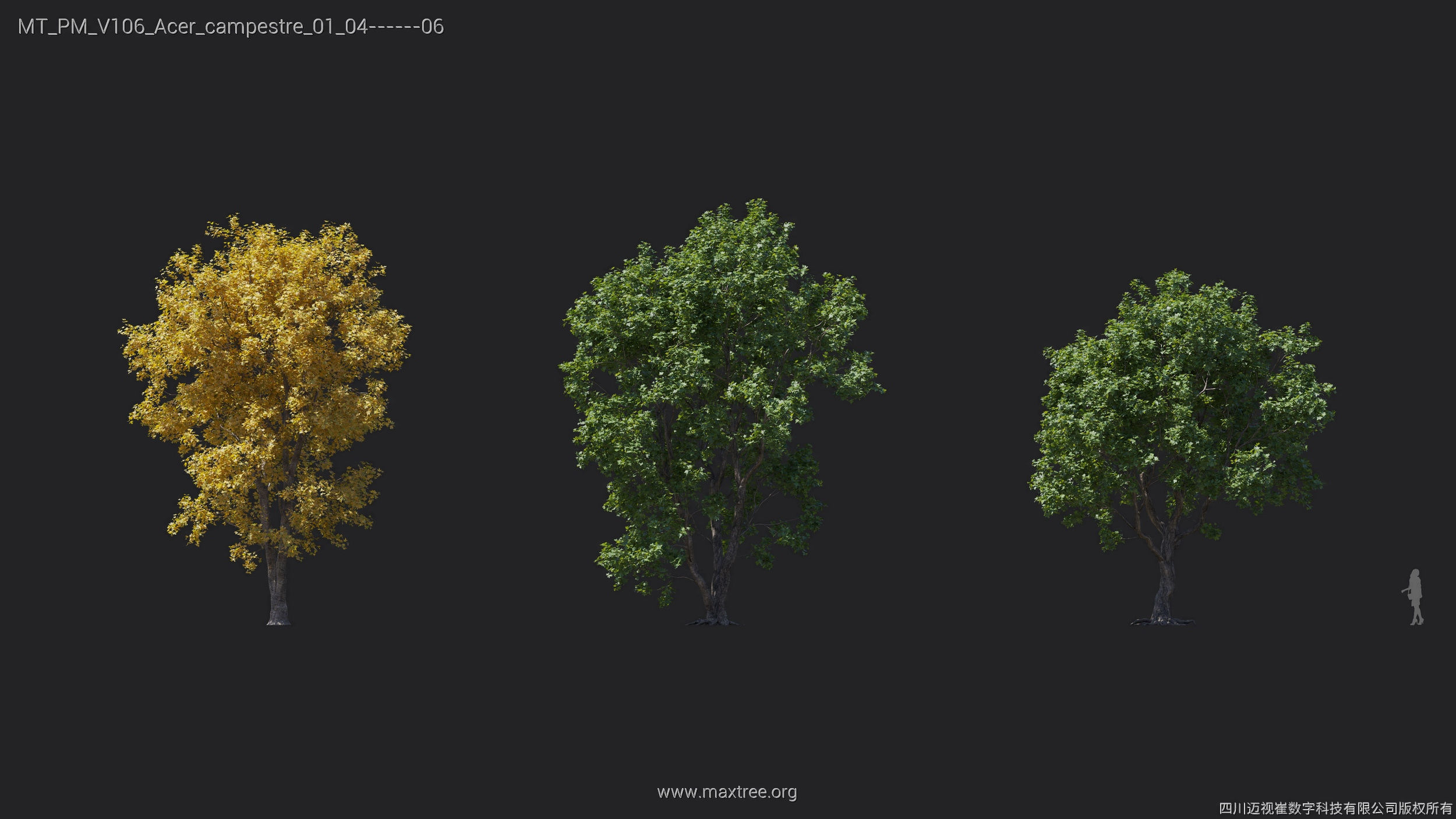 Maxtree Plant Models Vol 106 - Mesh 3D model_6