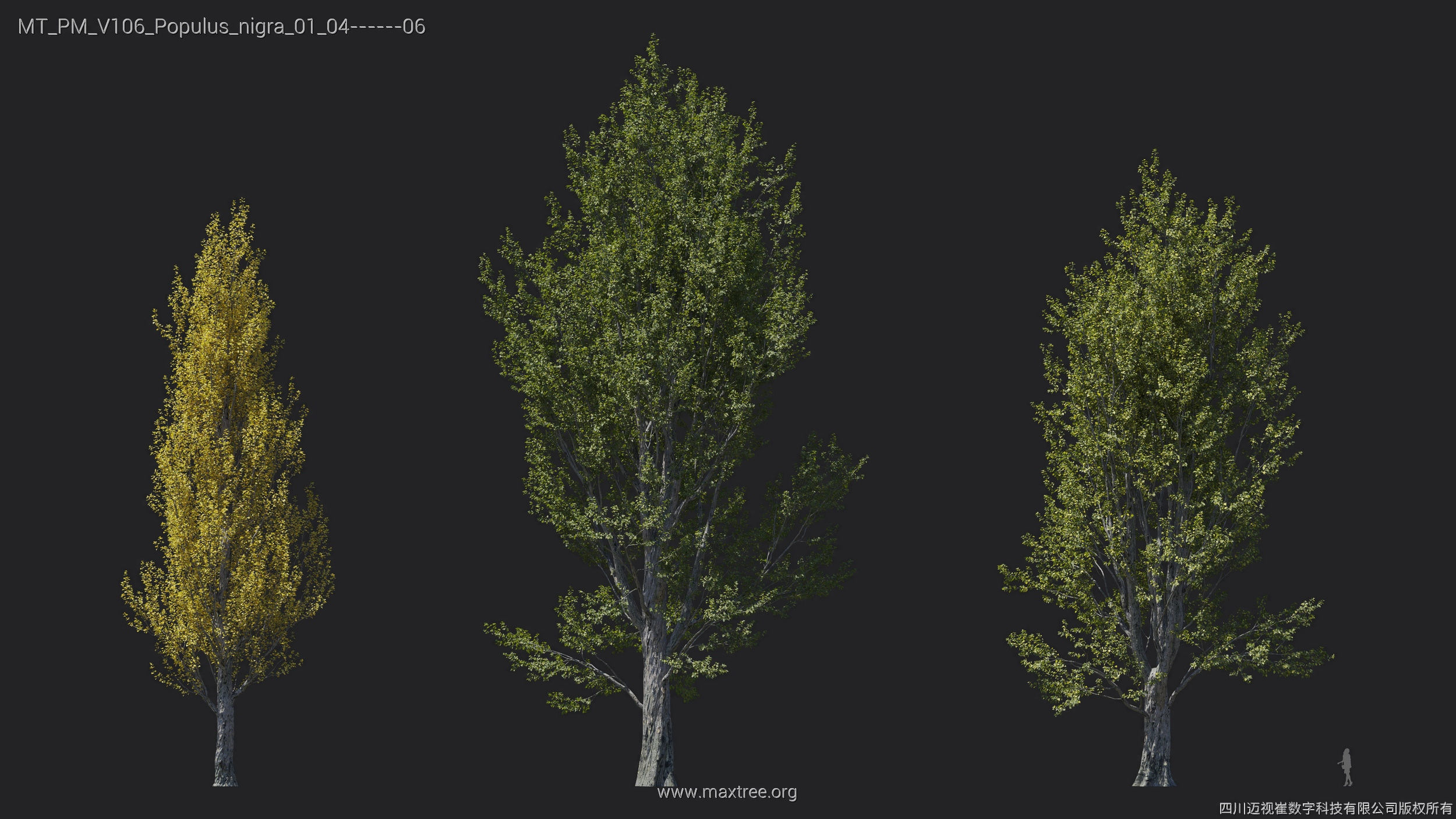 Maxtree Plant Models Vol 106 - Mesh 3D model_26