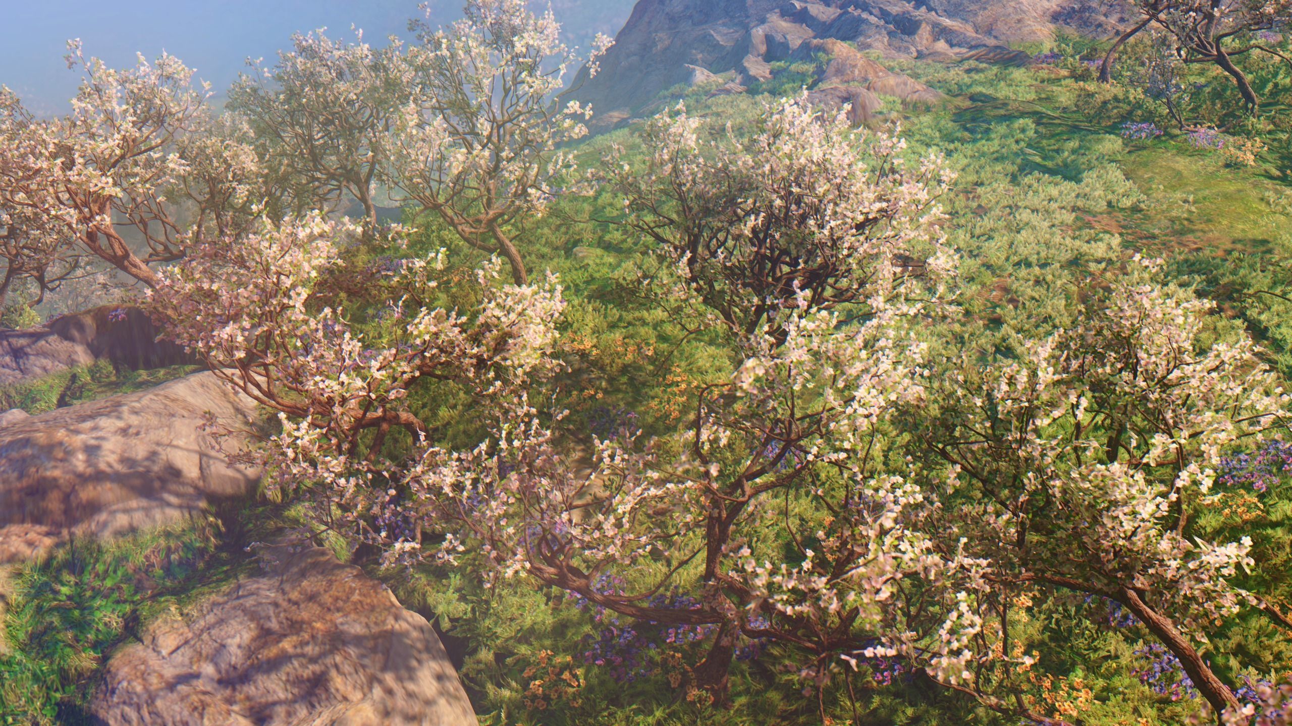 Tree - 1 Free 3D model_3