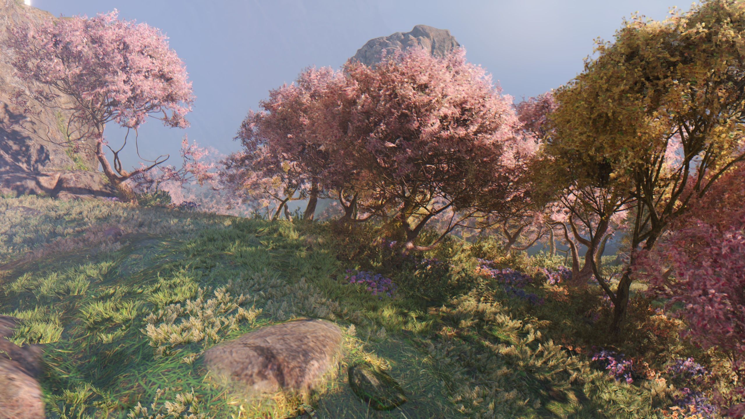 Tree - 1 Free 3D model_4