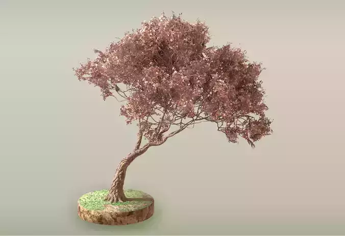 Tree - 1 Free 3D model