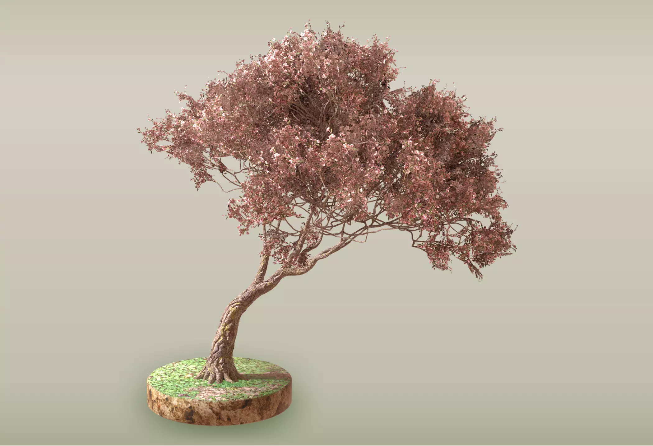Tree - 1 Free 3D model_0