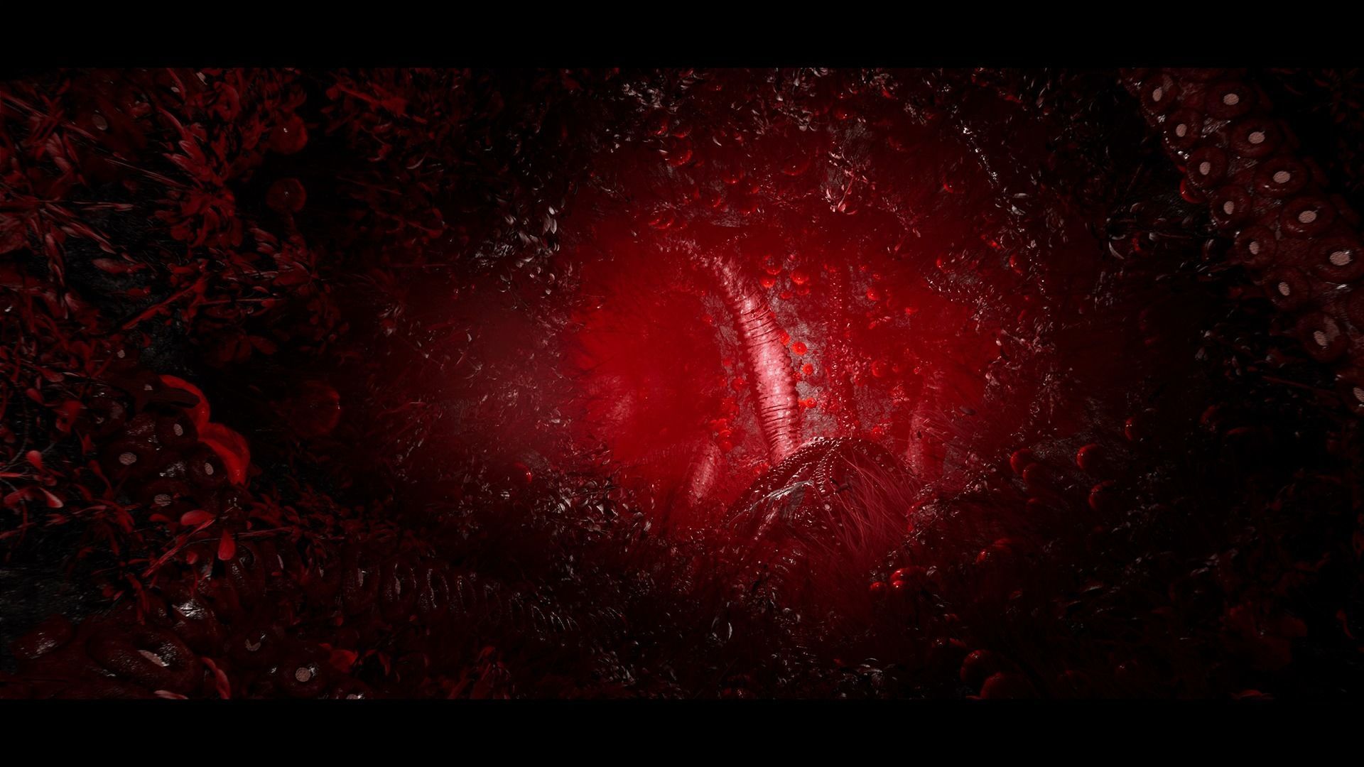 Tentacles Low-poly 3D model_5