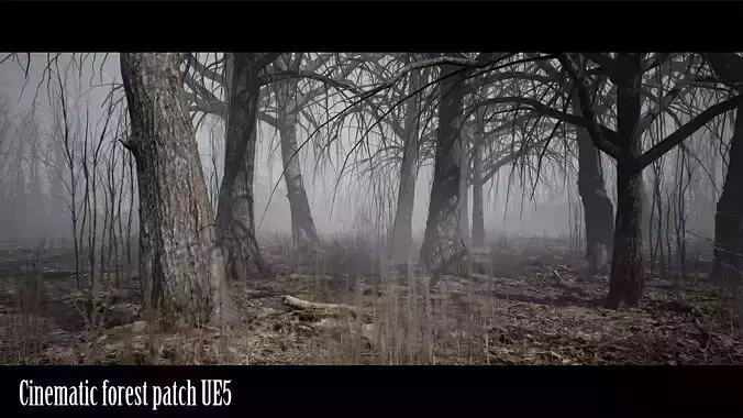 CinematicForestPatch