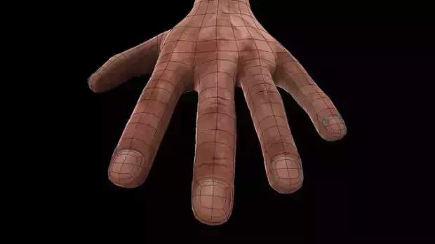 3D high poly realistic  animated hands  Low-poly 3D model
