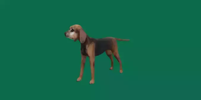 BloodHound Dog Low-poly 3D model