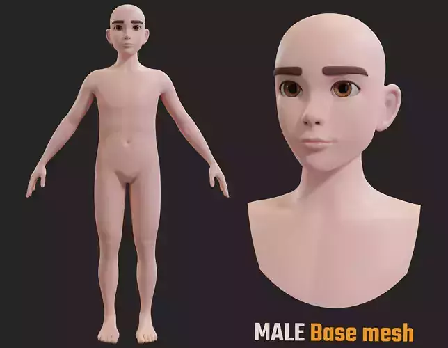 Stylized Character male Base Mesh 3D model