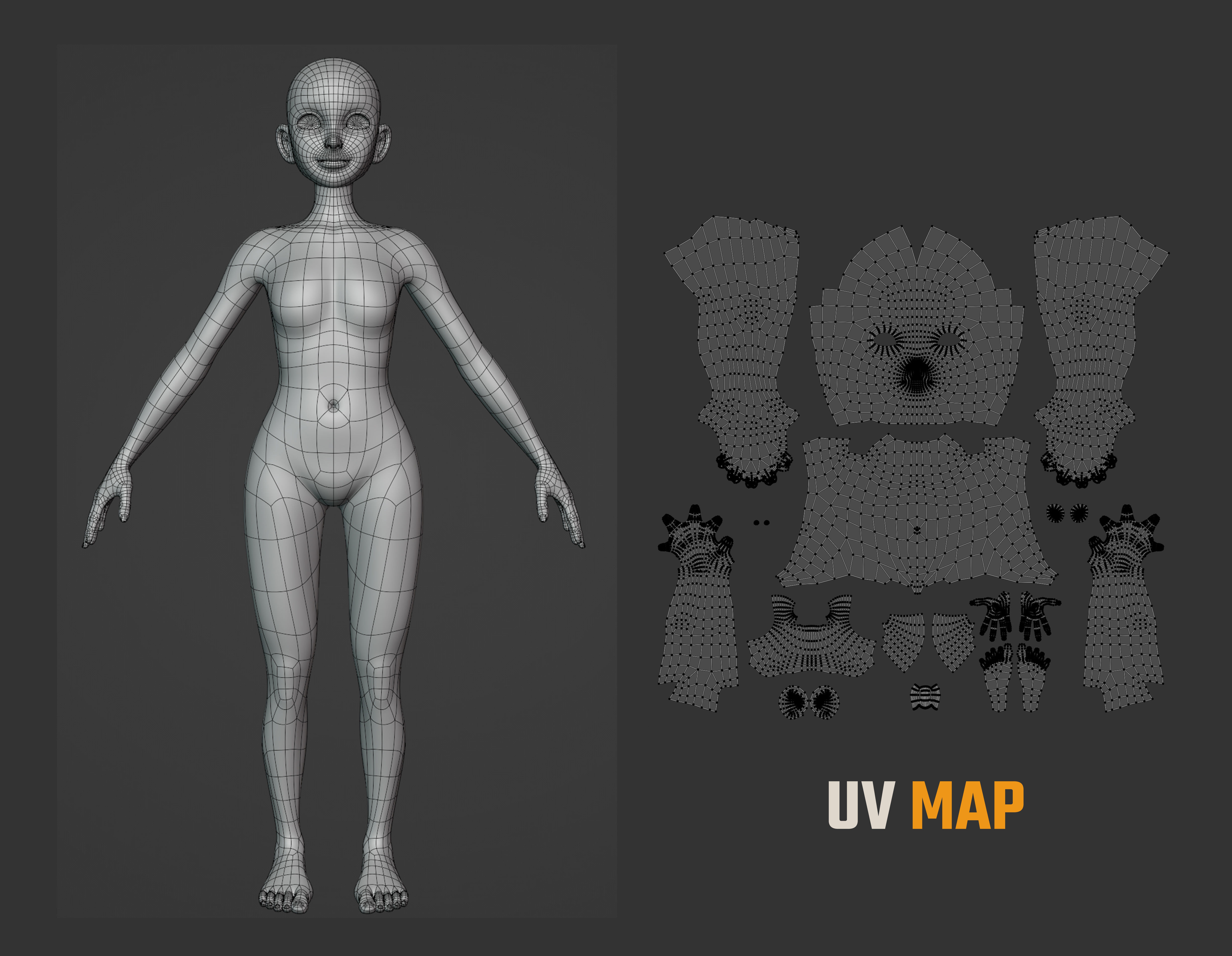 Stylized Character female male Base Mesh 3D model 3D model_11