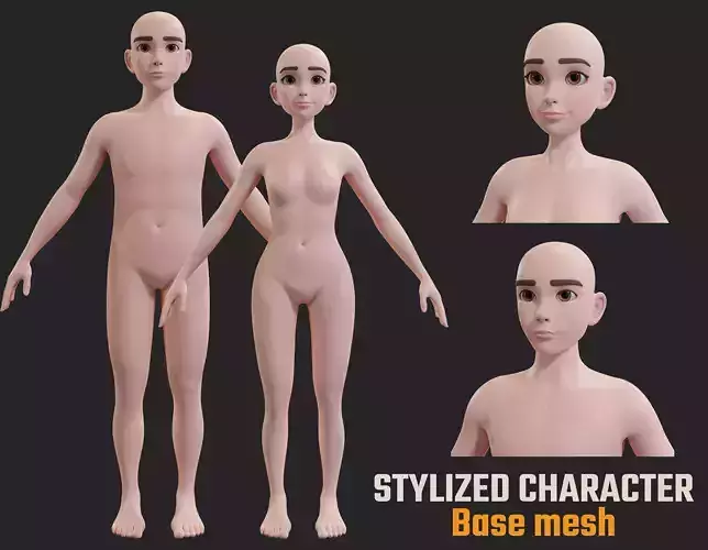 Stylized Character female male Base Mesh 3D model 3D model