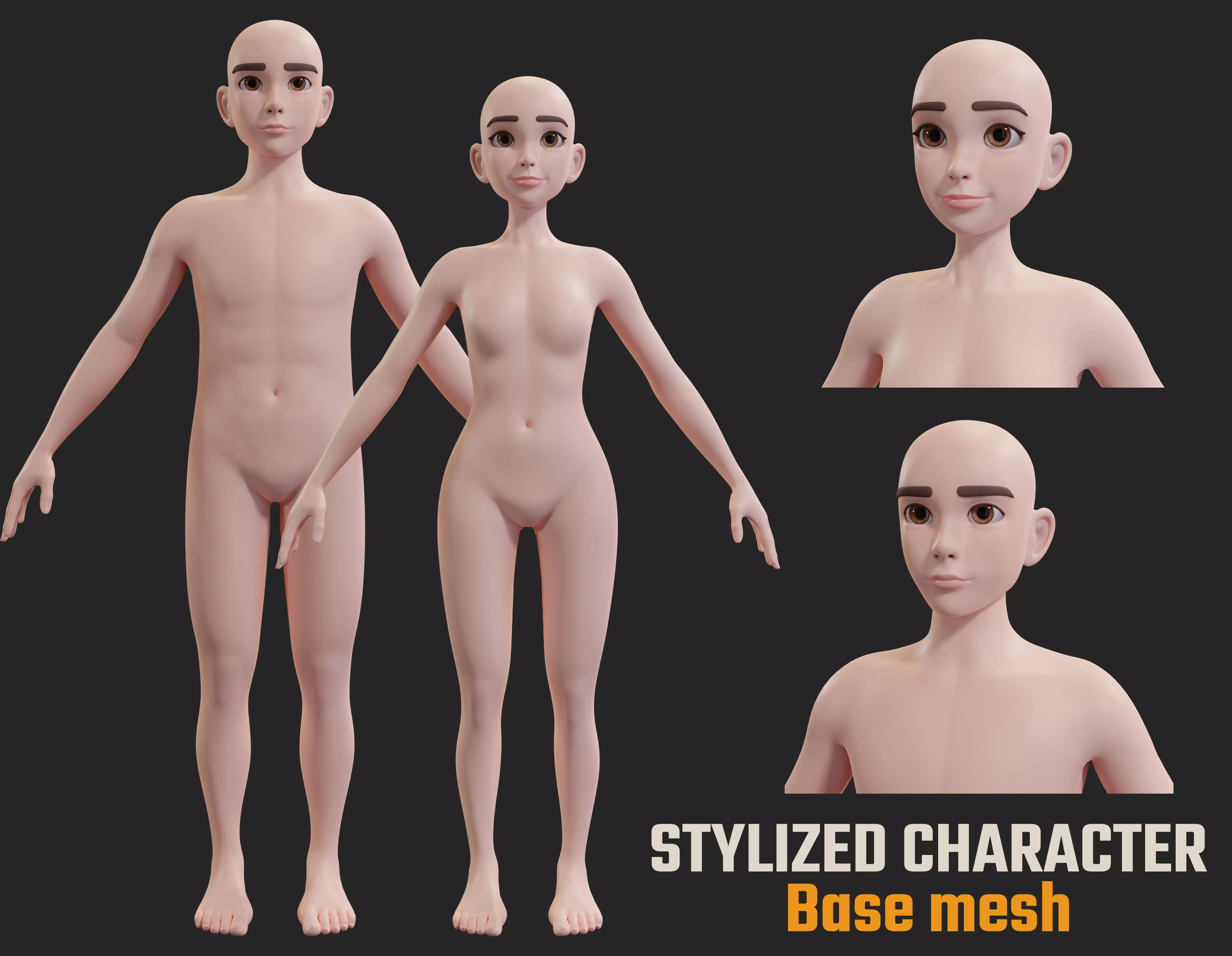 Stylized Character female male Base Mesh 3D model 3D model_0