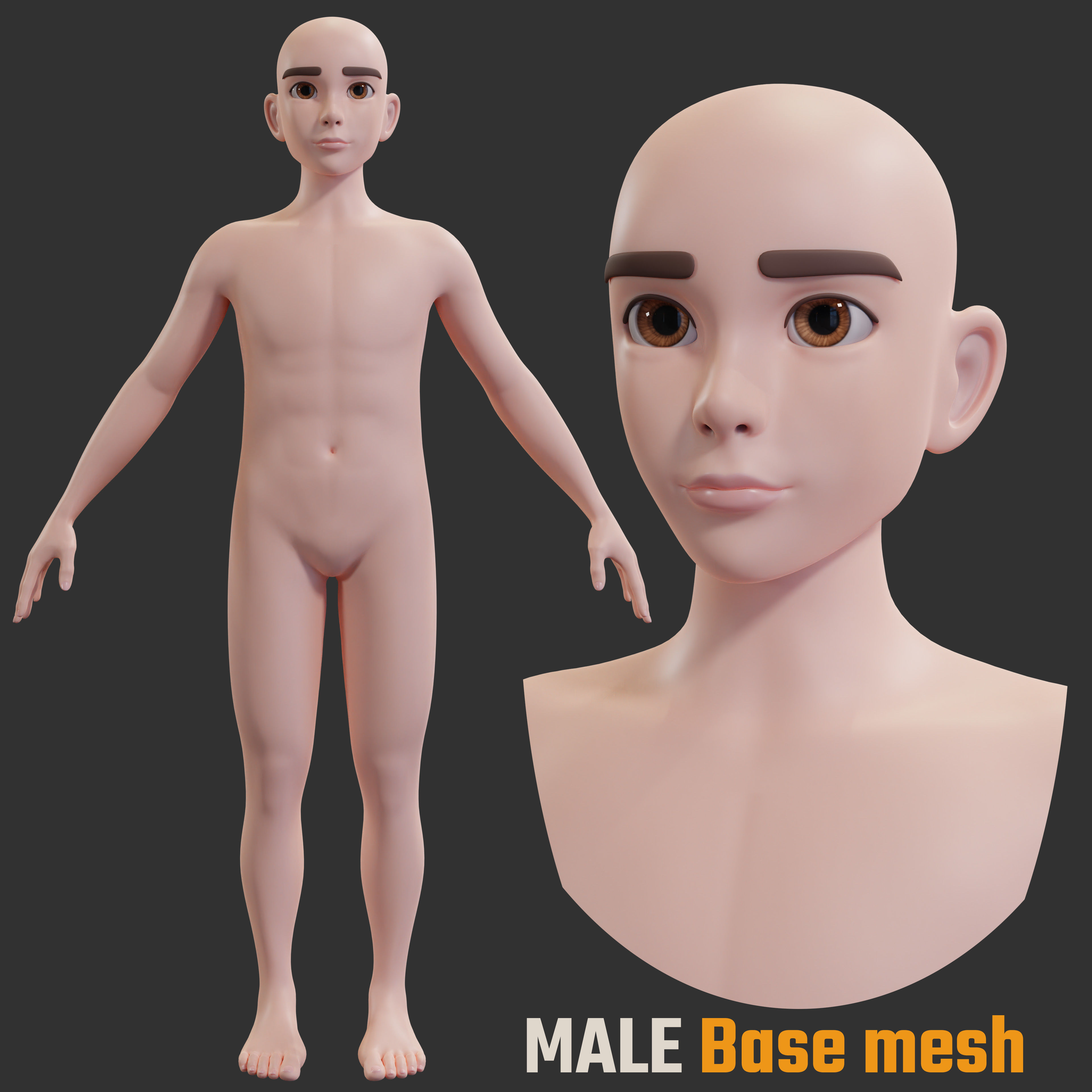 Stylized Character female male Base Mesh 3D model 3D model_2
