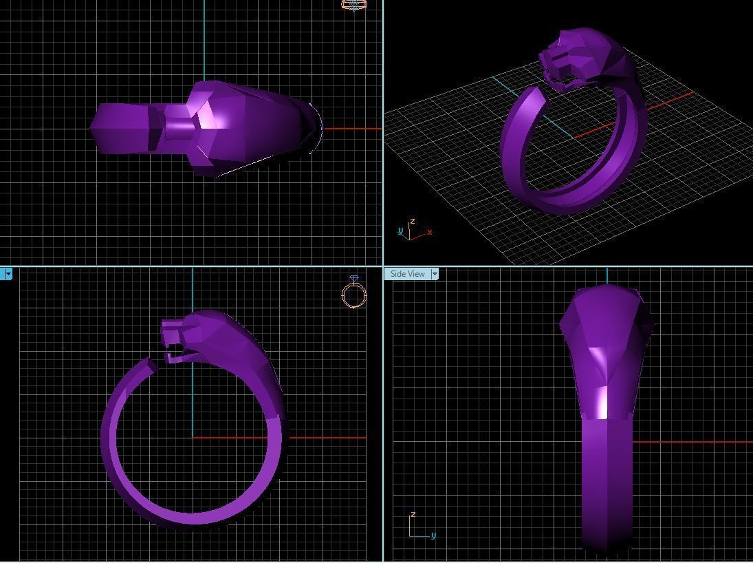 Ring Tiger 3D print model_5