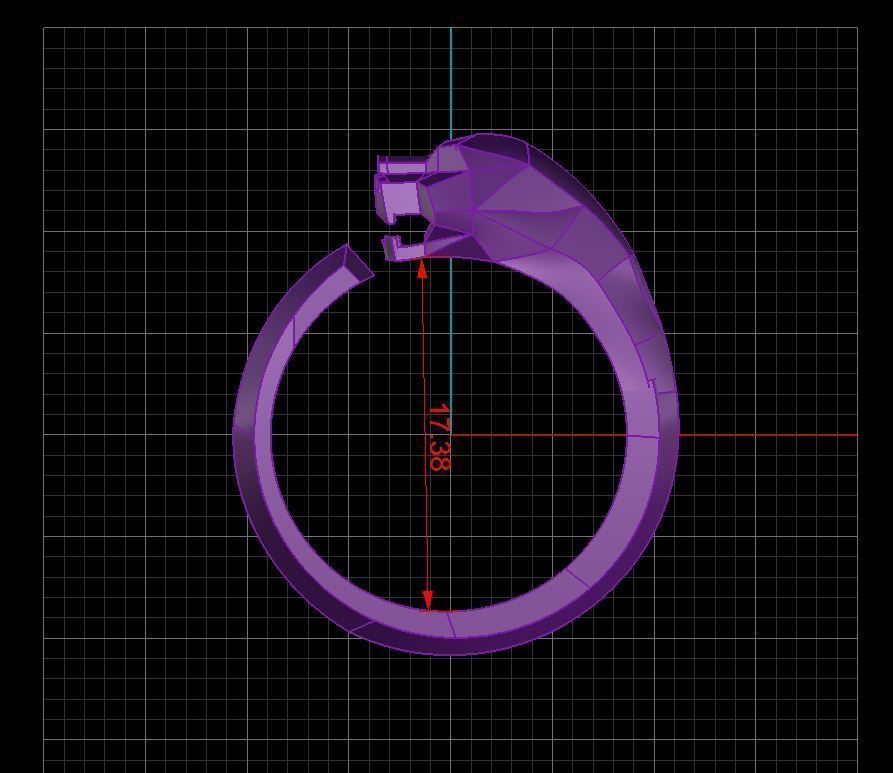 Ring Tiger 3D print model_6
