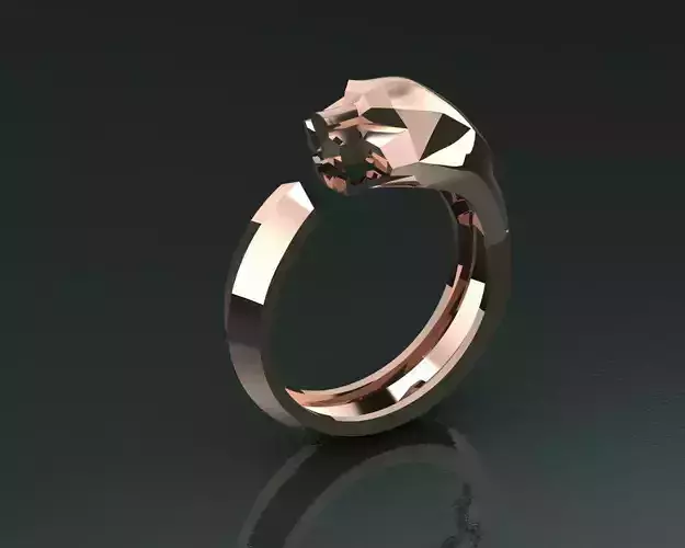 Ring Tiger