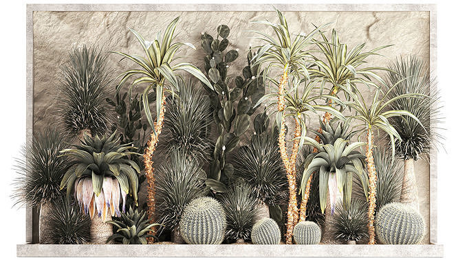 Desert plants for a house with rock wall and gravel cactus 1278 3D model