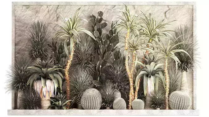 Desert plants for a house with rock wall and gravel cactus 1278 3D model