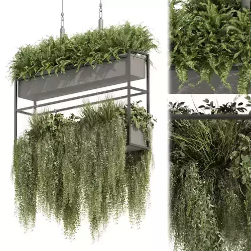 Collection plant vol 483 - hanging - bush - ampelous 3D model