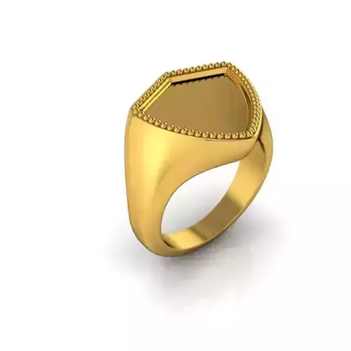 Vintage Swiss Shield Signet Mens Ring