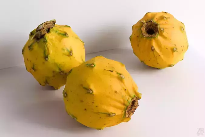 Pitaya 3D model