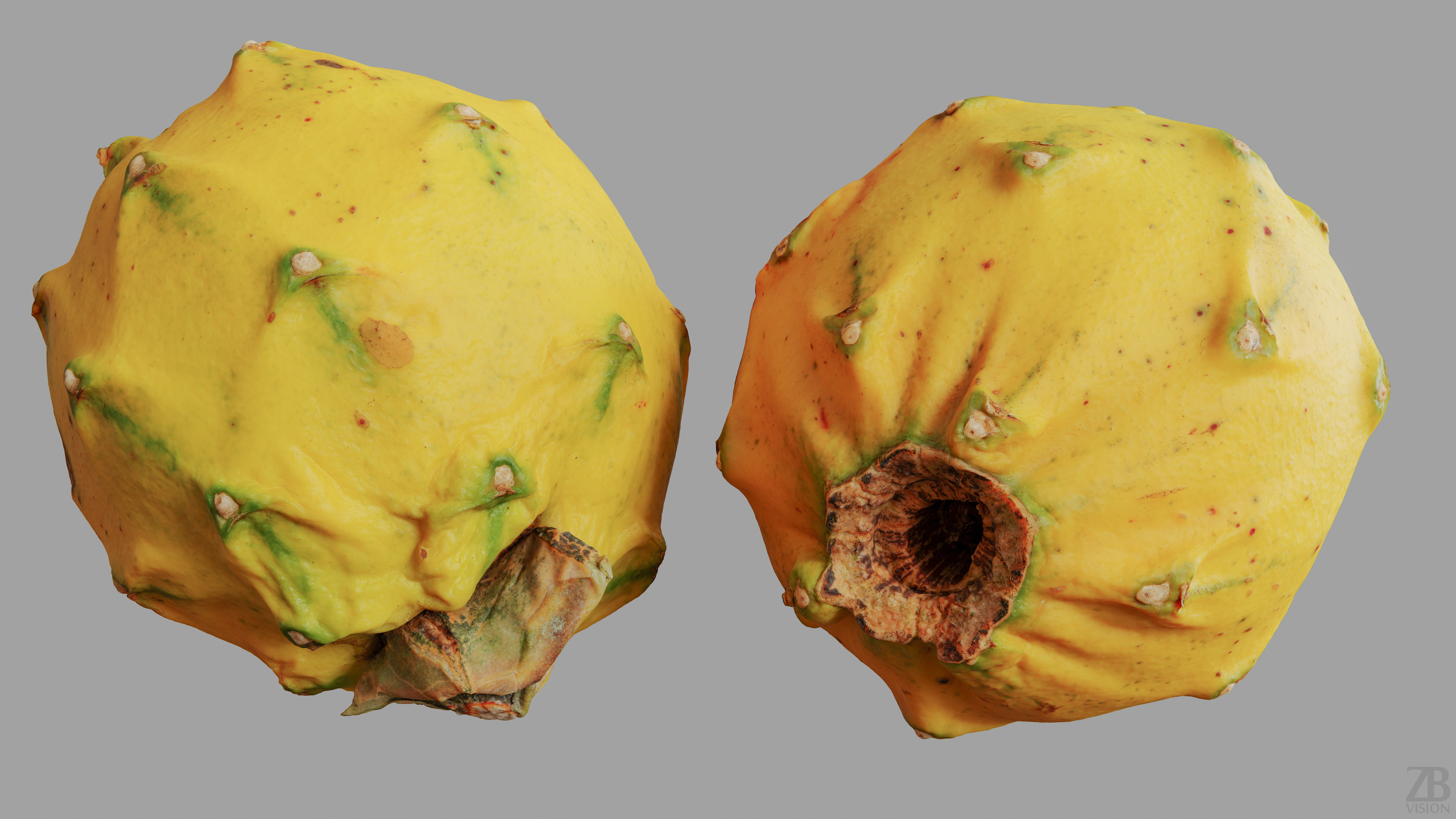 Pitaya 3D model_9