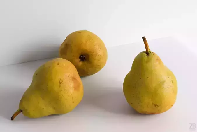Pear  3D model