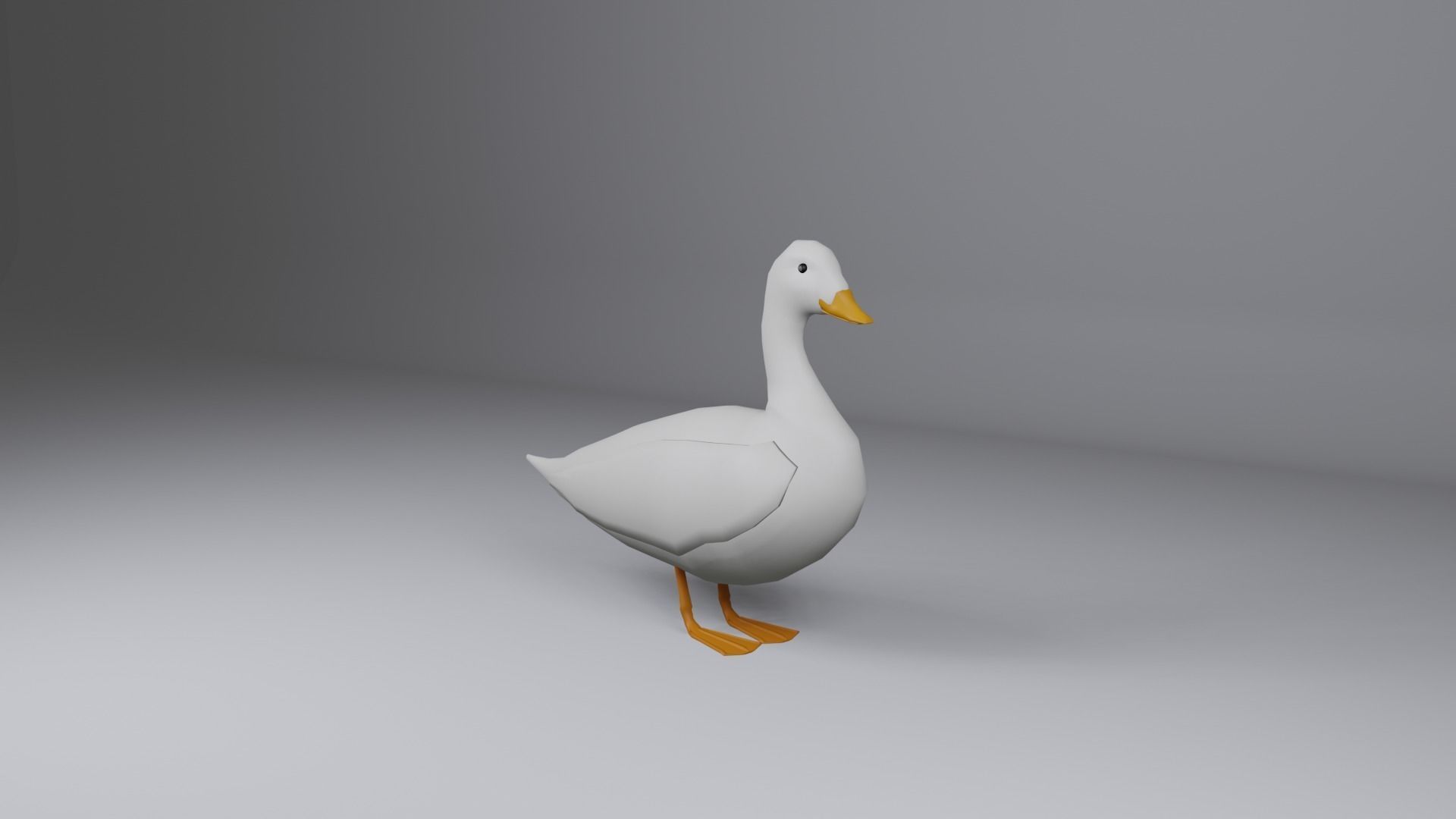 Duck 3d Low-poly 3D model_2