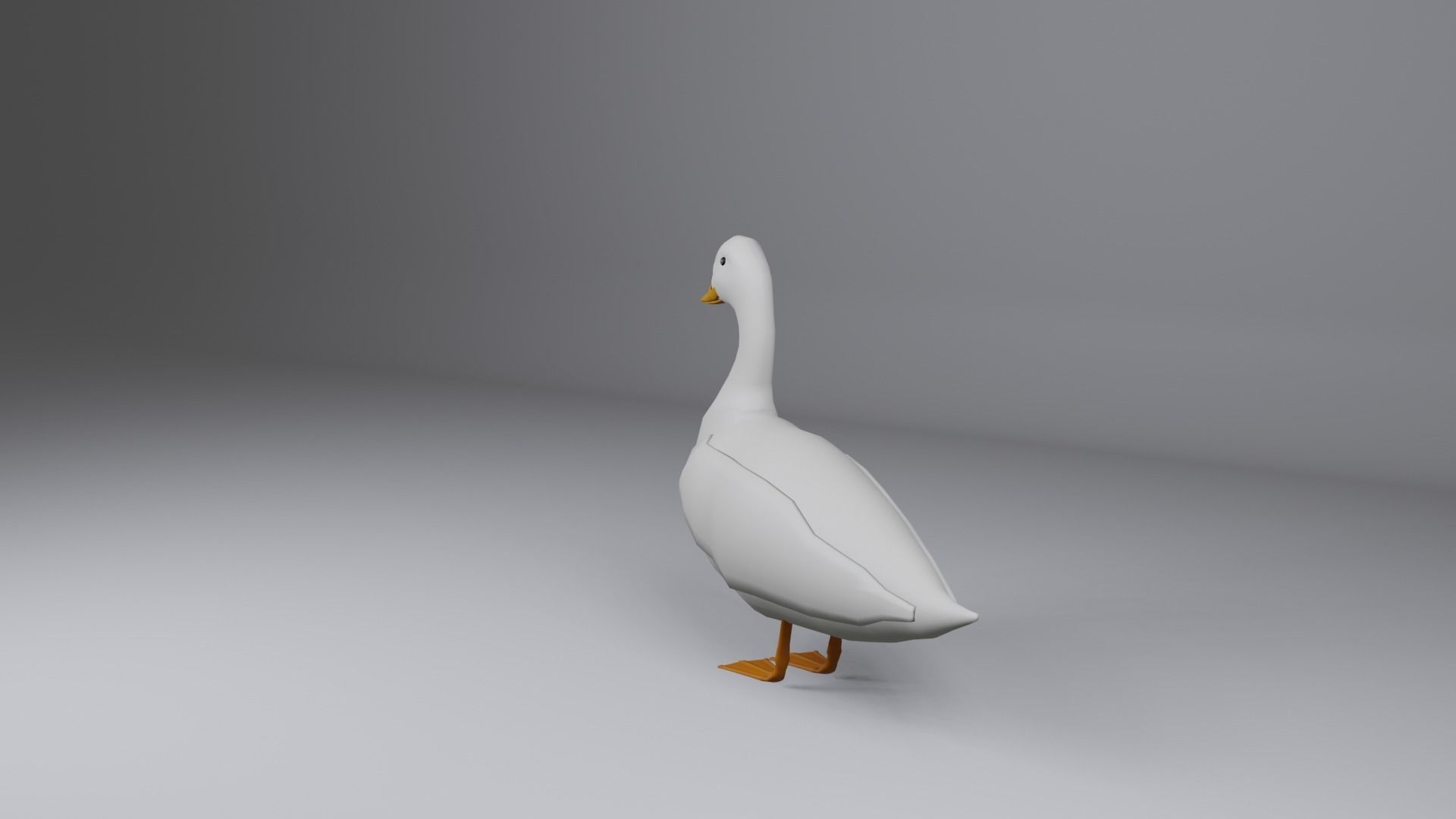 Duck 3d Low-poly 3D model_4