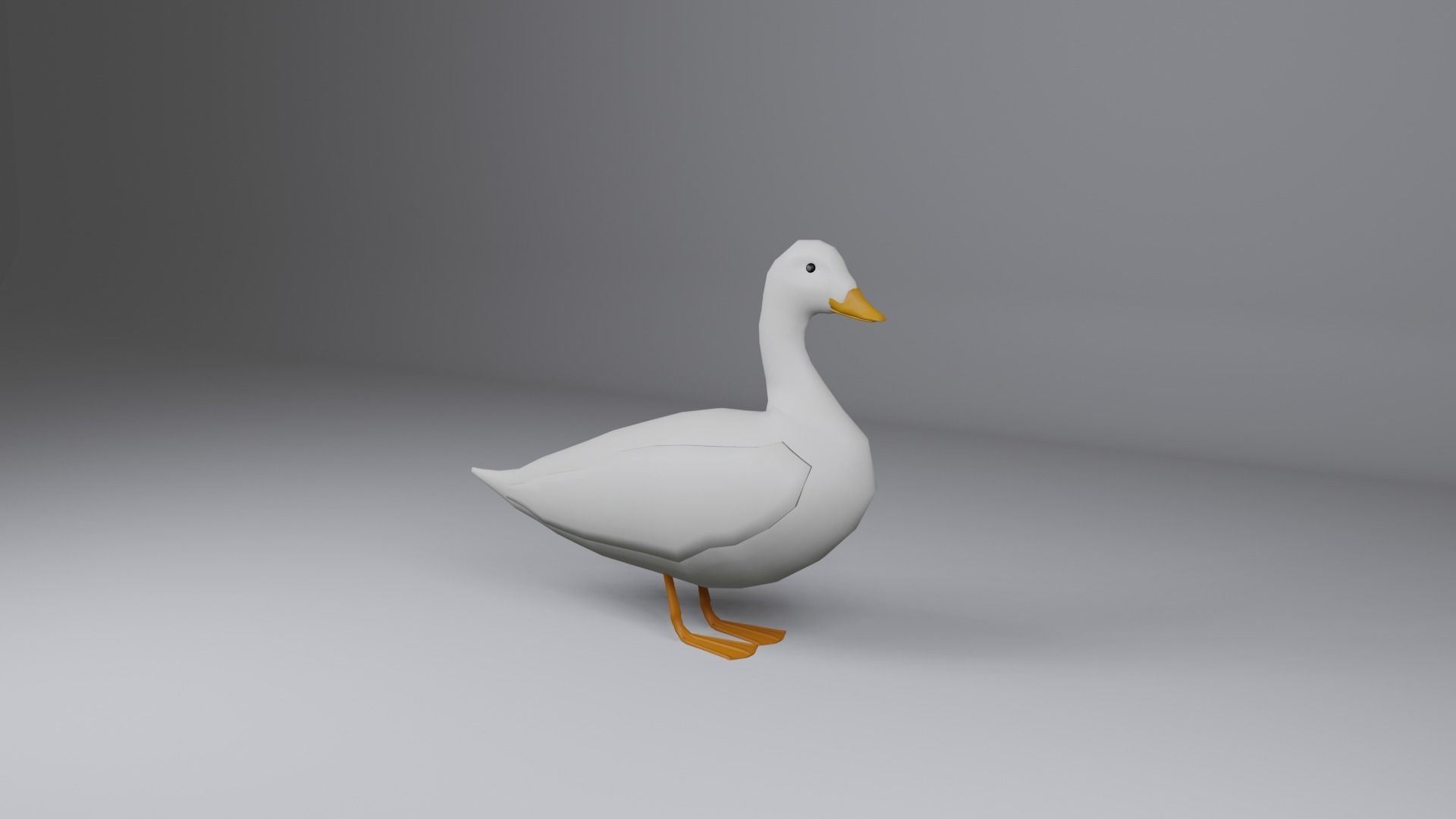 Duck 3d Low-poly 3D model_1