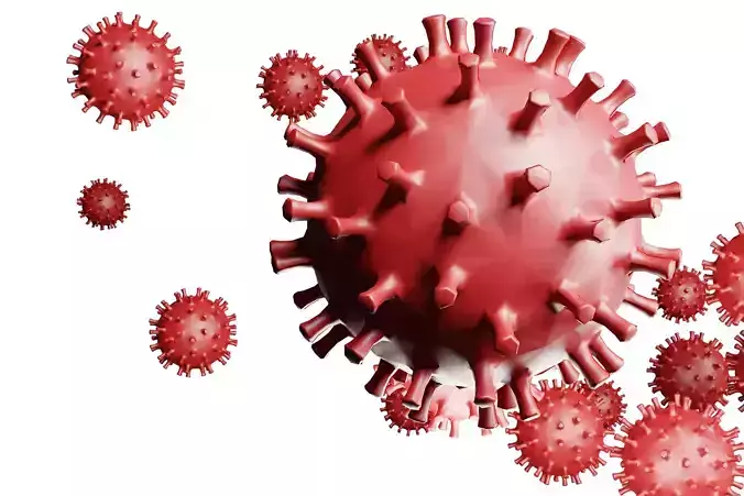 Virus 3D model