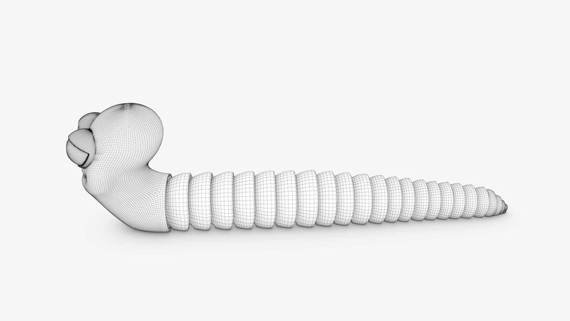 Articulated Worm Free 3D print model_14